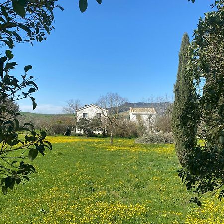 Agriturismo Colle Igino Matera Ngoại thất bức ảnh