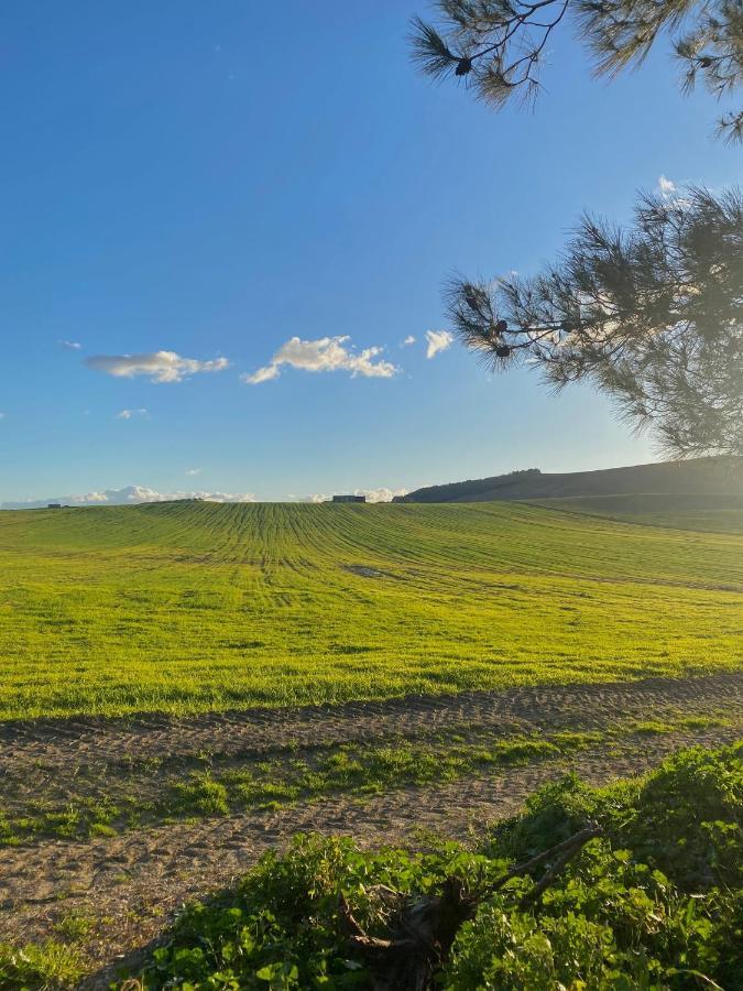 Agriturismo Colle Igino Matera Ngoại thất bức ảnh