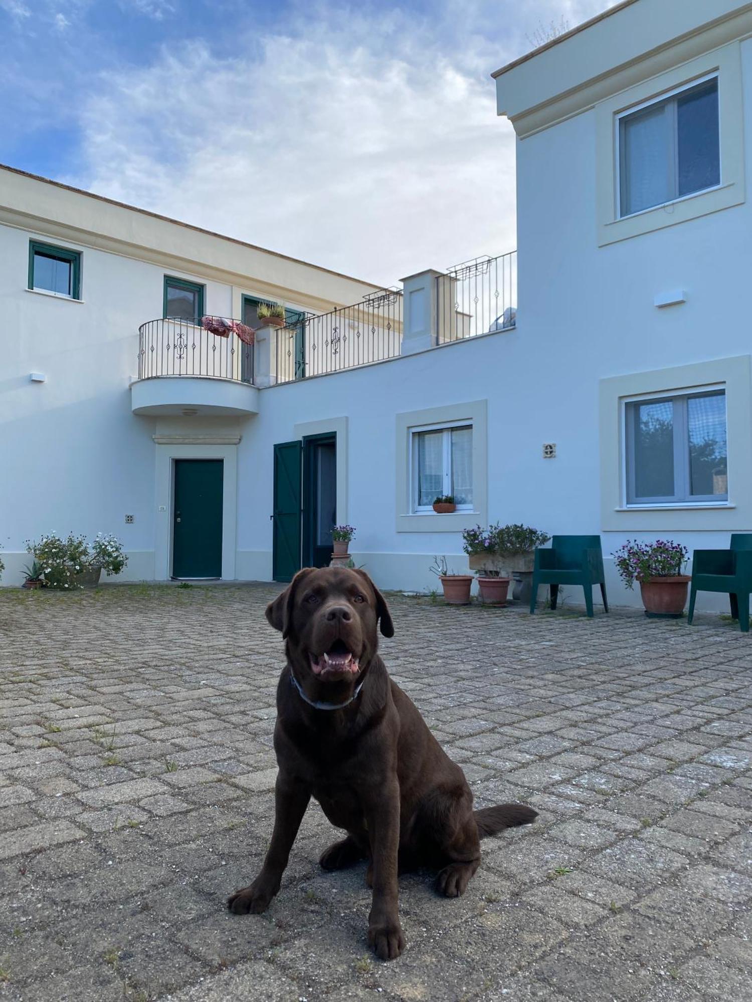 Agriturismo Colle Igino Matera Ngoại thất bức ảnh